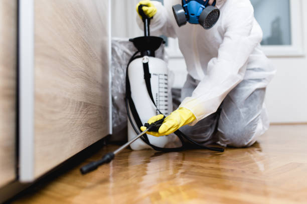 Best Affordable Pest Control Services  in Indian Rocks Beach, FL