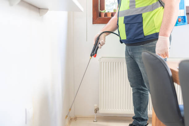 Best Bed Bug Extermination  in Indian Rocks Beach, FL